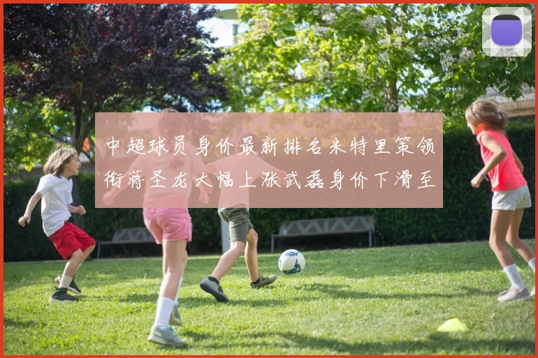 中超球员身价最新排名米特里策领衔蒋圣龙大幅上涨武磊身价下滑至50万