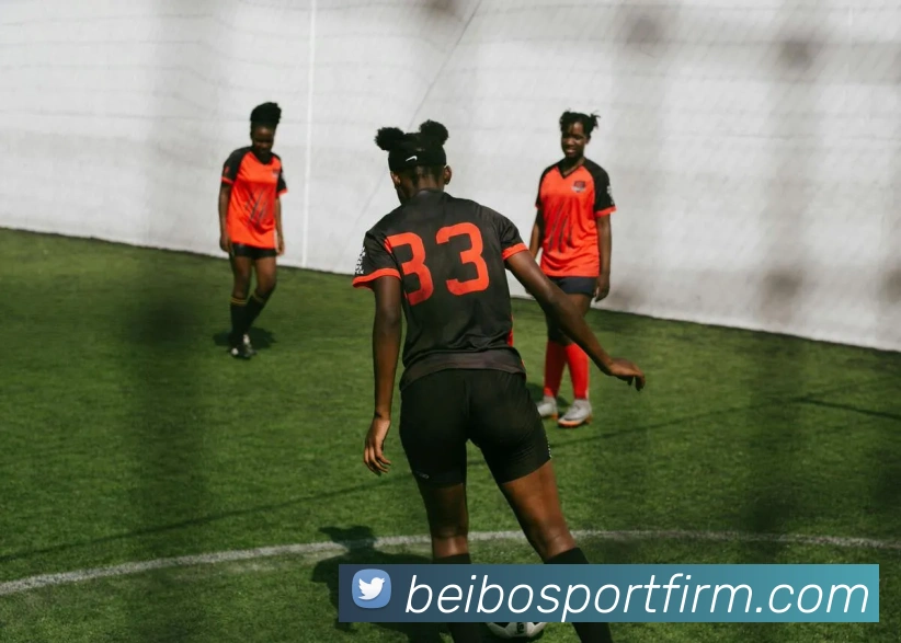 贝博体育发展历程